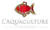 aquaculture sousse